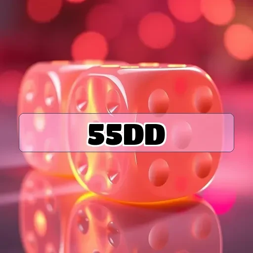55dd.com Segurança